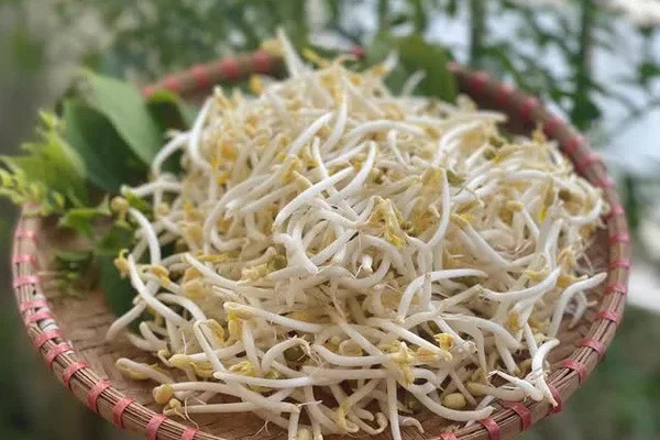 Loại thực phẩm mọc mầm không gây hại còn giúp ngừa ung thư - Hình 2 Loai thuc pham moc mam khong gay hai con giup ngua ung thu-Hinh-2