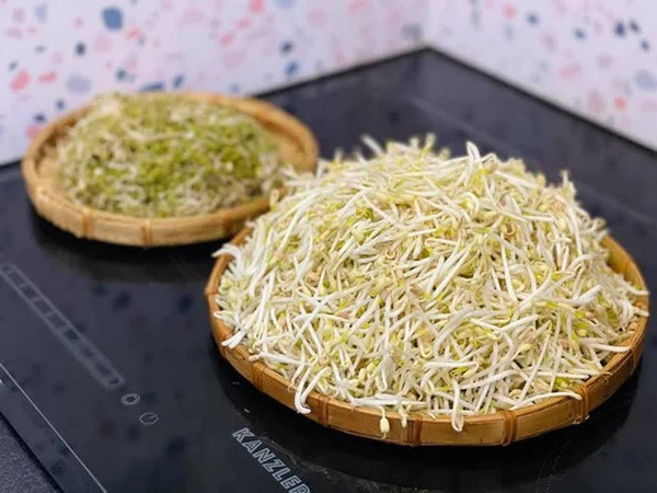 Loại thực phẩm mọc mầm không gây hại còn giúp ngừa ung thư - Hình 5 Loai thuc pham moc mam khong gay hai con giup ngua ung thu-Hinh-5