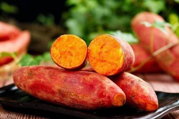 Khoai lang có thể tiêu diệt 98,7% tế bào ung thư? - Hình 2 Khoai lang co the tieu diet 98,7% te bao ung thu?-Hinh-2