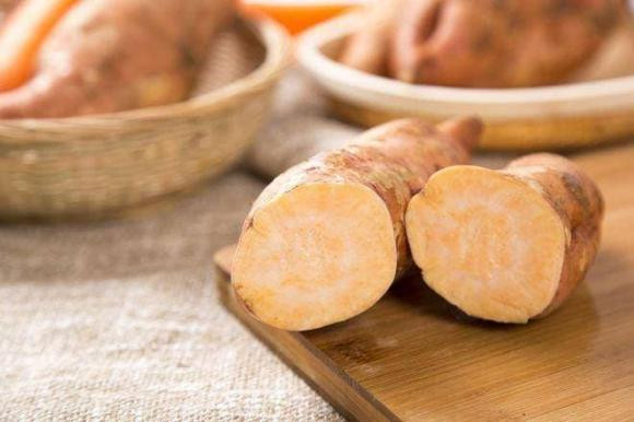 Khoai lang có thể tiêu diệt 98,7% tế bào ung thư? - Hình 6 Khoai lang co the tieu diet 98,7% te bao ung thu?-Hinh-6