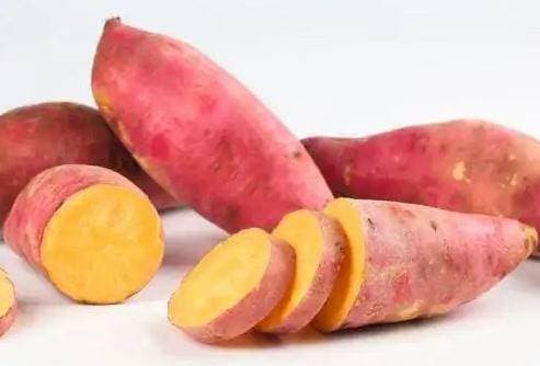Khoai lang có thể tiêu diệt 98,7% tế bào ung thư? - Hình 5 Khoai lang co the tieu diet 98,7% te bao ung thu?-Hinh-5