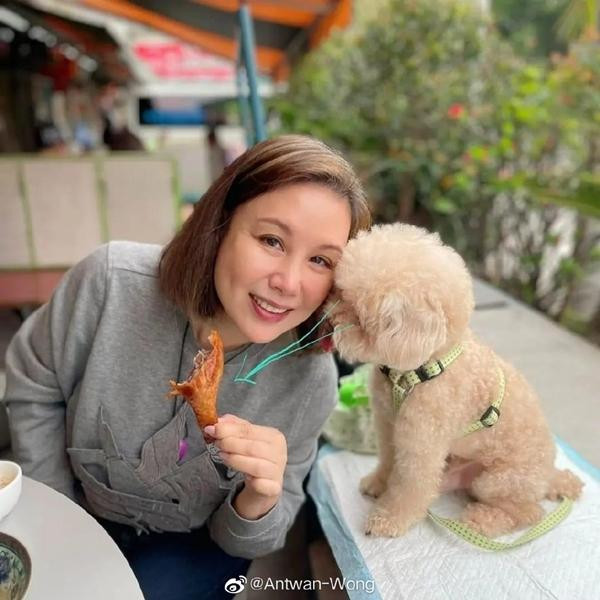 Vi Tiểu Bảo bản nữ duy nhất lịch sử: Visual át vía 7 bà vợ - Hình 7 Vi Tieu Bao ban nu duy nhat lich su: Visual at via 7 ba vo-Hinh-7
