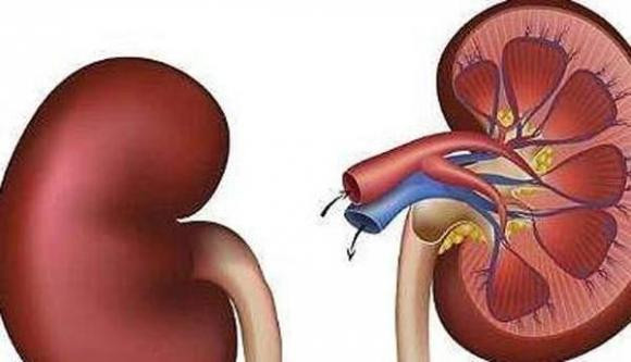 Nếu có 4 thay đổi bất thường này, rất có thể thận đã bị tổn thương Neu co 4 thay doi bat thuong nay, rat co the than da bi ton thuong