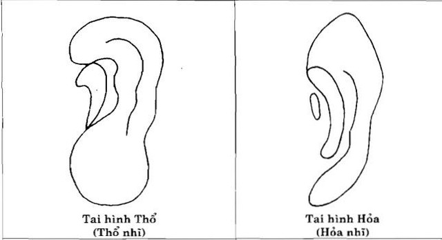 Tướng tai kỵ bấm lỗ, chớ dại tự mình phá tướng Trời ban - Hình 4 Tuong tai ky bam lo, cho dai tu minh pha tuong Troi ban-Hinh-4