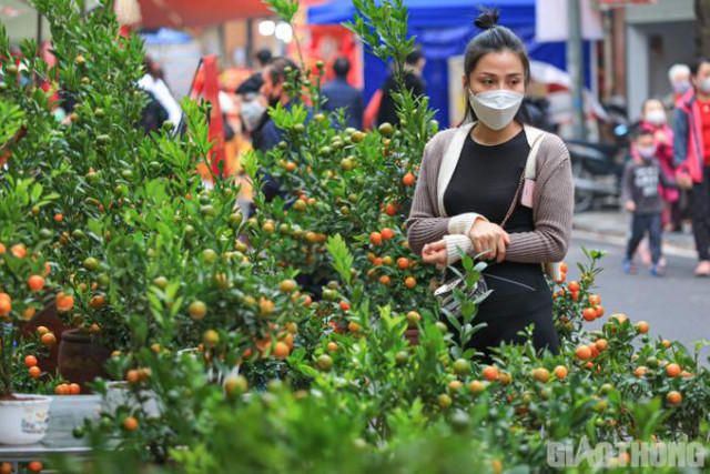 Chợ hoa trong lòng phố cổ Hà Nội vắng lặng ngày cận Tết - Hình 7 Cho hoa trong long pho co Ha Noi vang lang ngay can Tet-Hinh-7