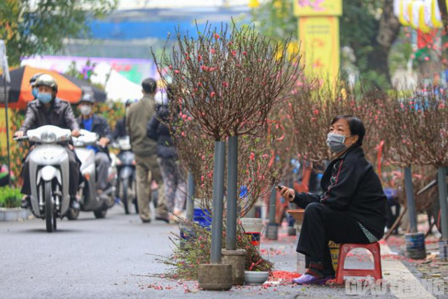 Chợ hoa trong lòng phố cổ Hà Nội vắng lặng ngày cận Tết - Hình 3 Cho hoa trong long pho co Ha Noi vang lang ngay can Tet-Hinh-3