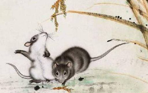 3 con giáp này trong 3 tháng tới nhất định sẽ có tài lộc - Hình 2 3 con giap nay trong 3 thang toi nhat dinh se co tai loc-Hinh-2