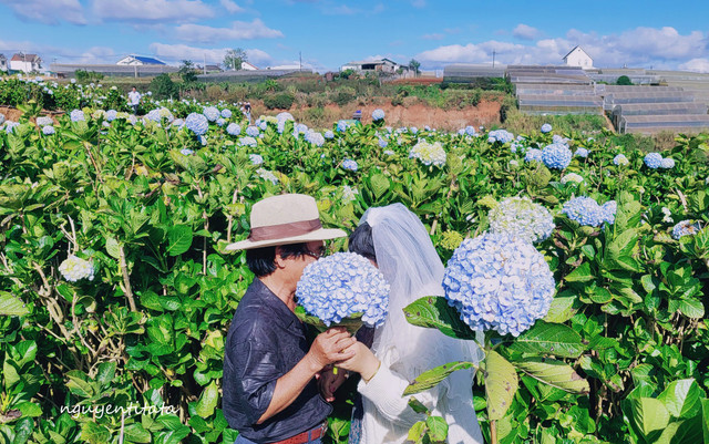 Các con tặng cha mẹ bộ ảnh cưới bất ngờ ở Đà Lạt - Hình 4 Cac con tang cha me bo anh cuoi bat ngo o Da Lat-Hinh-4