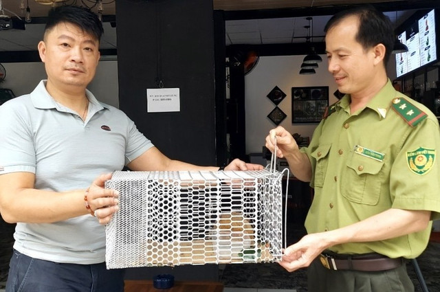 Cu li quý hiếm từ công viên bò vào quán cà phê ở TP.HCM - Hình 2 Cu li quy hiem tu cong vien bo vao quan ca phe o TP.HCM-Hinh-2
