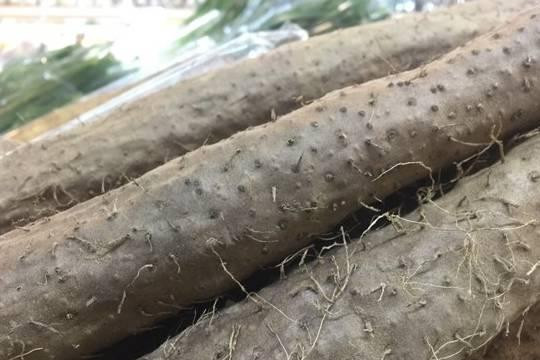 5 thực phẩm được mệnh danh 'vua bổ thận tráng dương' - Hình 2 5 thuc pham duoc menh danh 'vua bo than trang duong'-Hinh-2