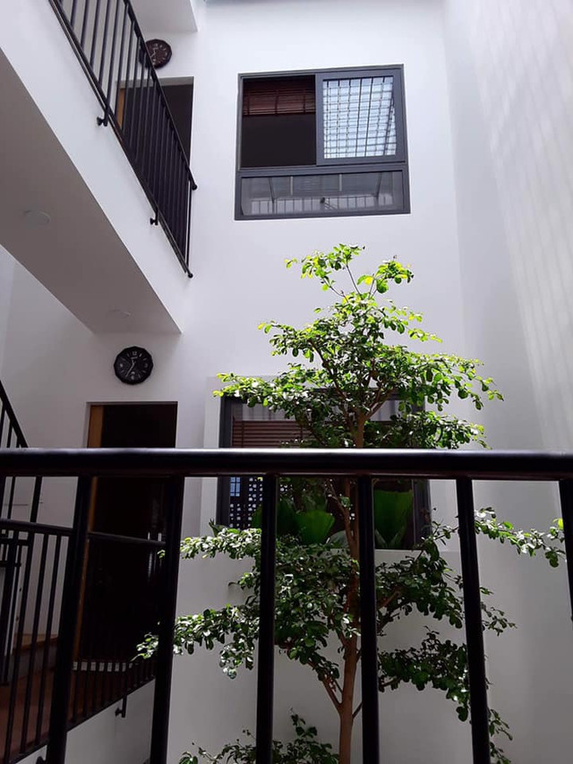 Nhà phố rợp cây xanh như khu rừng nhiệt đới - Hình 3 Nha pho rop cay xanh nhu khu rung nhiet doi-Hinh-3