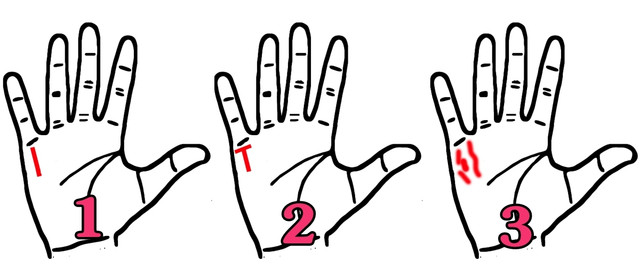 Người có 3 loại chỉ tay này, đều sinh ra phú quý - Hình 12 Nguoi co 3 loai chi tay nay, deu sinh ra phu quy-Hinh-12