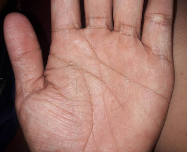 Người có 3 loại chỉ tay này, đều sinh ra phú quý - Hình 2 Nguoi co 3 loai chi tay nay, deu sinh ra phu quy-Hinh-2