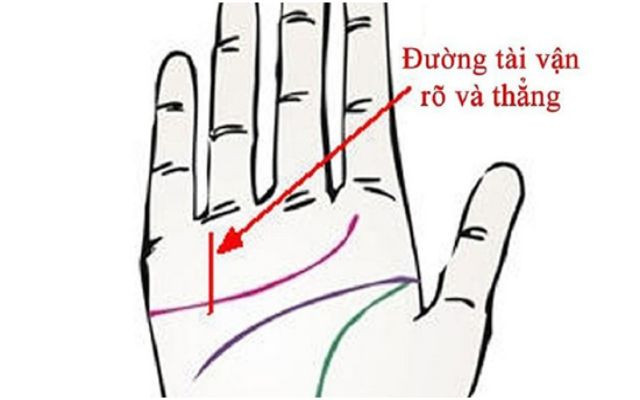 Người có 3 loại chỉ tay này, đều sinh ra phú quý - Hình 11 Nguoi co 3 loai chi tay nay, deu sinh ra phu quy-Hinh-11