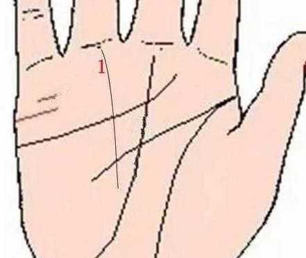 Người có 3 loại chỉ tay này, đều sinh ra phú quý - Hình 10 Nguoi co 3 loai chi tay nay, deu sinh ra phu quy-Hinh-10
