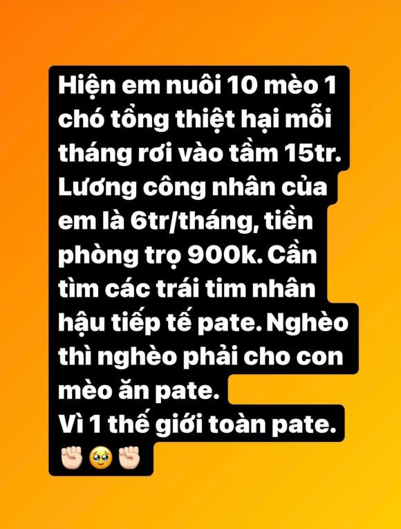 Elly Trần tiết lộ số tiền tốn kém mỗi tháng để nuôi chó mèo - Hình 3 Elly Tran tiet lo so tien ton kem moi thang de nuoi cho meo-Hinh-3