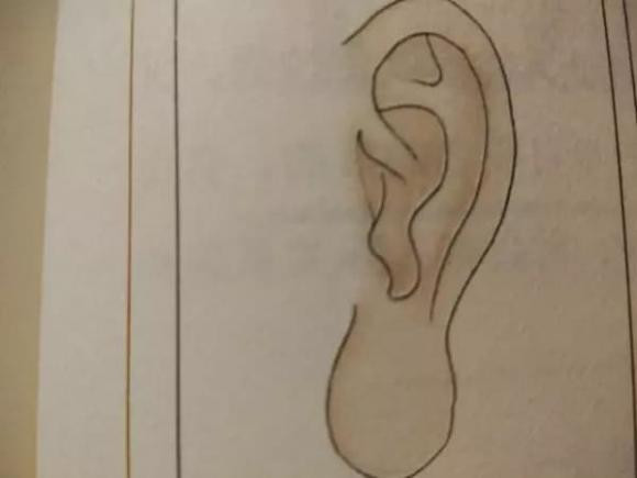 Người có tướng mạo này đồng nghĩa với việc họ không thích thể hiện - Hình 2 Nguoi co tuong mao nay dong nghia voi viec ho khong thich the hien-Hinh-2