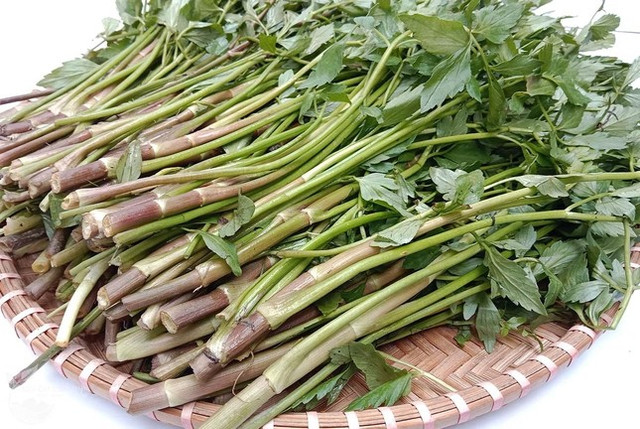 Những người nên tránh không ăn rau cần - Hình 2 Nhung nguoi nen tranh khong an rau can-Hinh-2