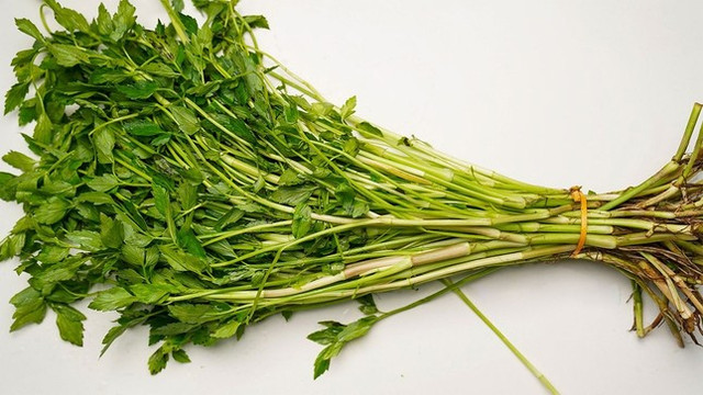 Những người nên tránh không ăn rau cần Nhung nguoi nen tranh khong an rau can