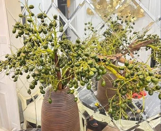 Mới lạ cành quả cắm bình đang 'làm mưa, làm gió' trên thị trường Moi la canh qua cam binh dang 'lam mua, lam gio' tren thi truong
