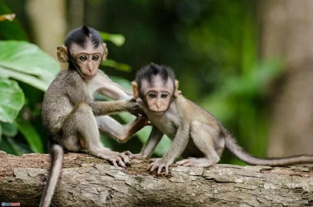 Trời sinh 4 tuổi 'nói một hiểu mười', được sếp yêu bạn mến Troi sinh 4 tuoi 'noi mot hieu muoi', duoc sep yeu ban men