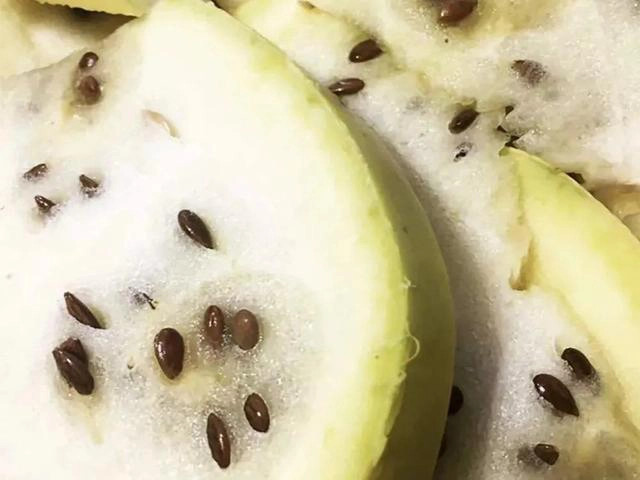 Sa mạc có một loại dưa hấu kỳ lạ nhưng không ai dám ăn - Hình 6 Sa mac co mot loai dua hau ky la nhung khong ai dam an-Hinh-6