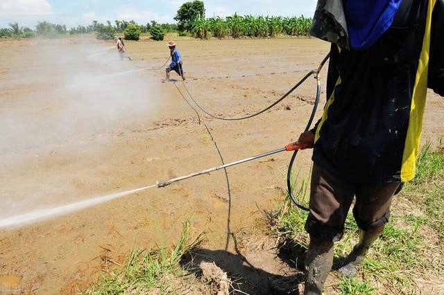 Sa mạc có một loại dưa hấu kỳ lạ nhưng không ai dám ăn - Hình 11 Sa mac co mot loai dua hau ky la nhung khong ai dam an-Hinh-11