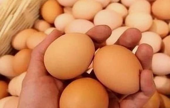 Ăn trứng khi bụng đói vào buổi sáng, sau 30 ngày - Hình 2 An trung khi bung doi vao buoi sang, sau 30 ngay-Hinh-2