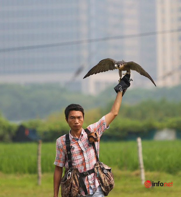 Thú chơi đại bàng, chim ưng sát thủ tốn kém của 9X Hà Nội - Hình 3 Thu choi dai bang, chim ung sat thu ton kem cua 9X Ha Noi-Hinh-3