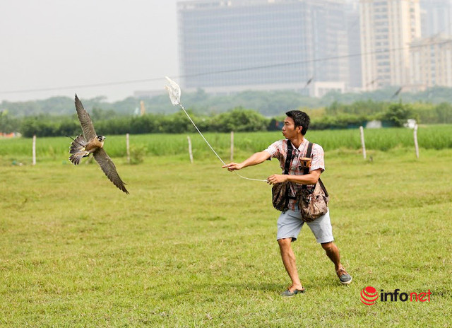 Thú chơi đại bàng, chim ưng sát thủ tốn kém của 9X Hà Nội - Hình 7 Thu choi dai bang, chim ung sat thu ton kem cua 9X Ha Noi-Hinh-7
