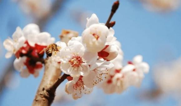 Bồ Tát phù hộ, 3 con giáp của cải tăng vọt, làm ăn phát tài Bo Tat phu ho, 3 con giap cua cai tang vot, lam an phat tai