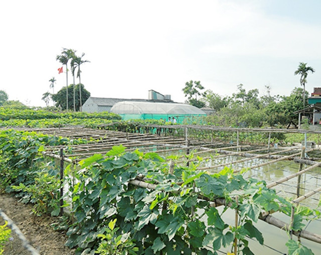 Ngôi làng Việt Nam trước nghèo đói, nay thu nhập tăng gần 8 lần - Hình 3 Ngoi lang Viet Nam truoc ngheo doi, nay thu nhap tang gan 8 lan-Hinh-3
