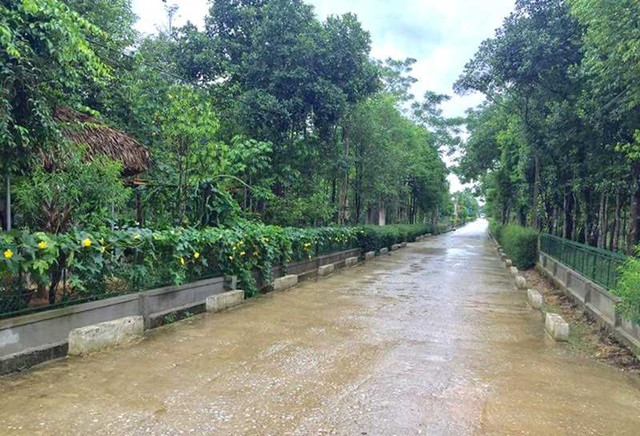 Ngôi làng Việt Nam trước nghèo đói, nay thu nhập tăng gần 8 lần - Hình 6 Ngoi lang Viet Nam truoc ngheo doi, nay thu nhap tang gan 8 lan-Hinh-6