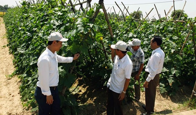 Ngôi làng Việt Nam trước nghèo đói, nay thu nhập tăng gần 8 lần - Hình 2 Ngoi lang Viet Nam truoc ngheo doi, nay thu nhap tang gan 8 lan-Hinh-2