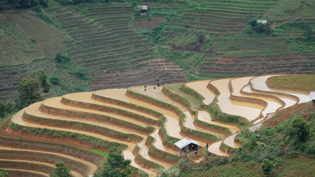 Vẻ đẹp ruộng bậc thang Mù Cang Chải mùa nước đổ - Hình 4 Ve dep ruong bac thang Mu Cang Chai mua nuoc do-Hinh-4