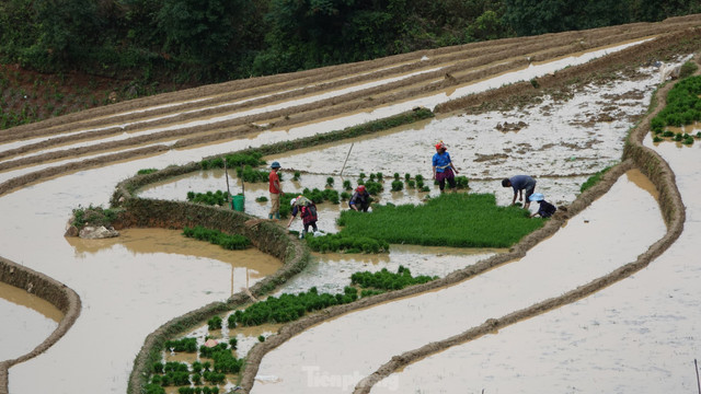 Vẻ đẹp ruộng bậc thang Mù Cang Chải mùa nước đổ - Hình 10 Ve dep ruong bac thang Mu Cang Chai mua nuoc do-Hinh-10