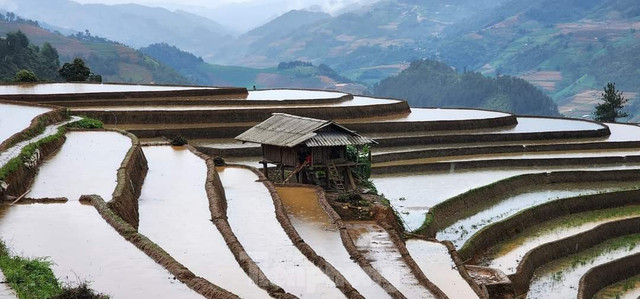 Vẻ đẹp ruộng bậc thang Mù Cang Chải mùa nước đổ - Hình 6 Ve dep ruong bac thang Mu Cang Chai mua nuoc do-Hinh-6