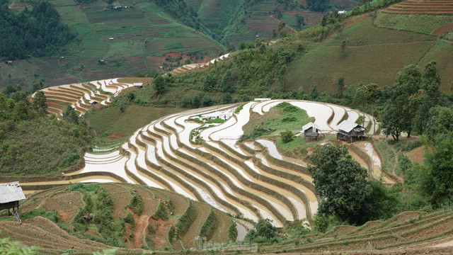 Vẻ đẹp ruộng bậc thang Mù Cang Chải mùa nước đổ - Hình 8 Ve dep ruong bac thang Mu Cang Chai mua nuoc do-Hinh-8