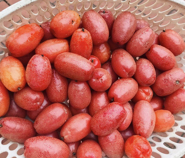 Giật mình giá nhót chín tại HN, chị em chỉ dám mua vài lạng - Hình 5 Giat minh gia nhot chin tai HN, chi em chi dam mua vai lang-Hinh-5
