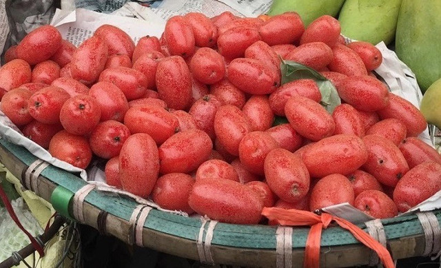 Giật mình giá nhót chín tại HN, chị em chỉ dám mua vài lạng Giat minh gia nhot chin tai HN, chi em chi dam mua vai lang