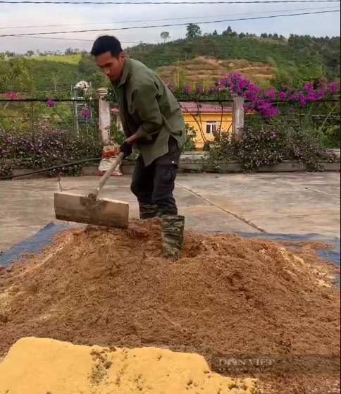 Nuôi heo rừng lai, chàng trai Lâm Đồng thu 250 triệu/ năm - Hình 3 Nuoi heo rung lai, chang trai Lam Dong thu 250 trieu/ nam-Hinh-3