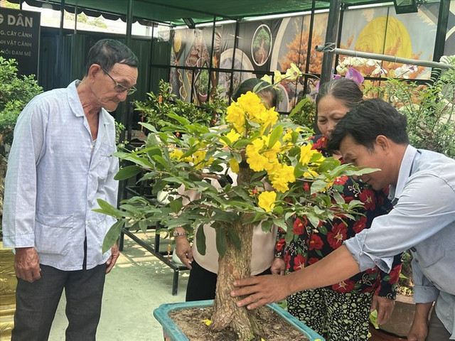 Cây, hoa độc lạ giá vừa túi tiền hút khách chơi Tết Cay, hoa doc la gia vua tui tien hut khach choi Tet
