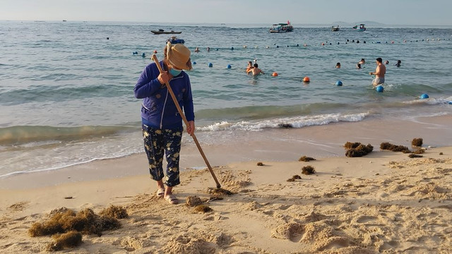 Nhơn Hải hướng đến một “làng chài xanh” - Hình 5 Nhon Hai huong den mot “lang chai xanh”-Hinh-5
