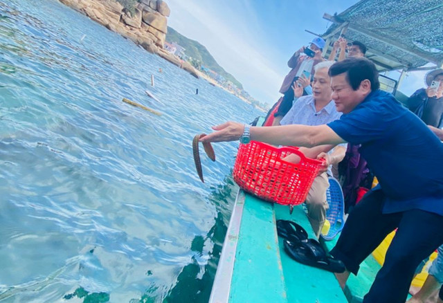 Nhơn Hải hướng đến một “làng chài xanh” - Hình 3 Nhon Hai huong den mot “lang chai xanh”-Hinh-3
