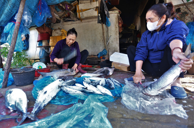 Tất bật làng nướng cá ở vùng biển Hà Tĩnh dịp giáp Tết - Hình 3 Tat bat lang nuong ca o vung bien Ha Tinh dip giap Tet-Hinh-3