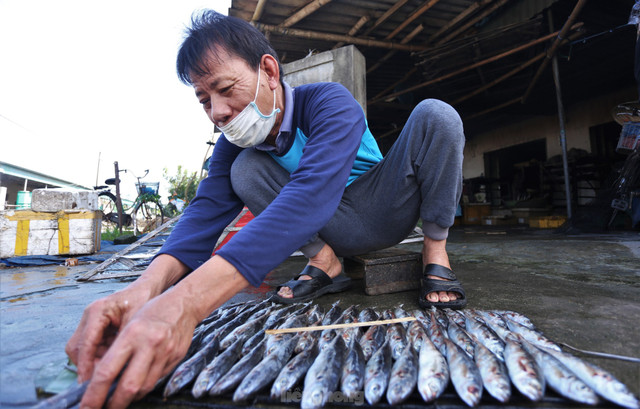 Tất bật làng nướng cá ở vùng biển Hà Tĩnh dịp giáp Tết - Hình 4 Tat bat lang nuong ca o vung bien Ha Tinh dip giap Tet-Hinh-4