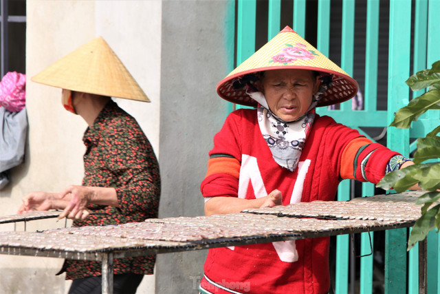 Tất bật làng nướng cá ở vùng biển Hà Tĩnh dịp giáp Tết - Hình 8 Tat bat lang nuong ca o vung bien Ha Tinh dip giap Tet-Hinh-8