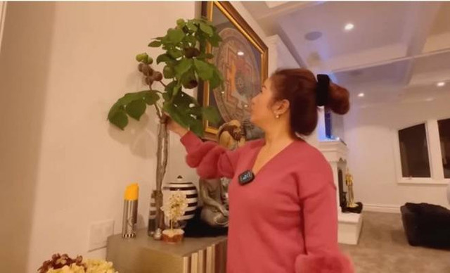 Dinh thự đôi lộng lẫy được Thúy Nga tiết lộ nghi của Huy MC - Hình 8 Dinh thu doi long lay duoc Thuy Nga tiet lo nghi cua Huy MC-Hinh-8