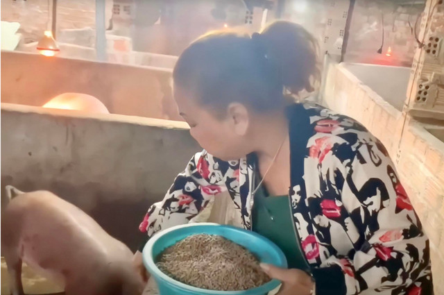Siu Black: "Có lúc tôi không còn đồng nào trong người" Siu Black: