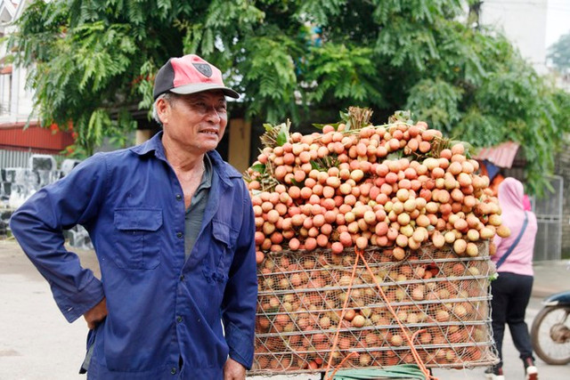 Vải thiều mất mùa giá cao, kẻ khóc, người cười - Hình 2 Vai thieu mat mua gia cao, ke khoc, nguoi cuoi-Hinh-2